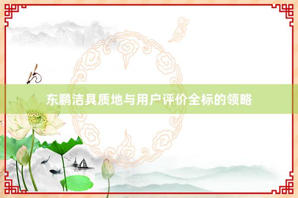 东鹏洁具质地与用户评价全标的领略