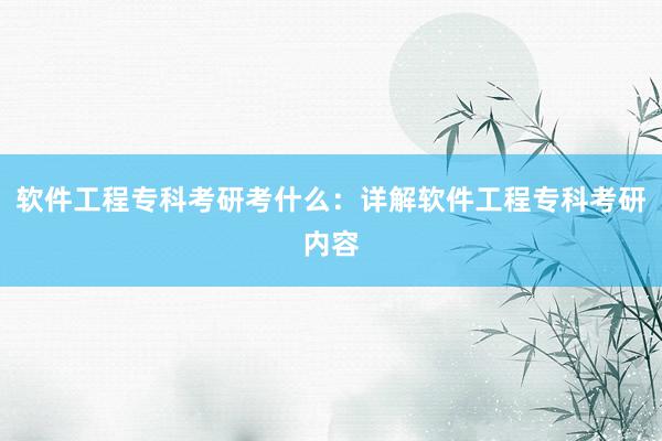 软件工程专科考研考什么：详解软件工程专科考研内容