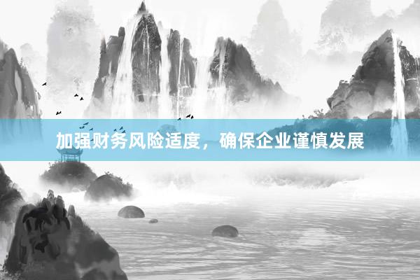 加强财务风险适度，确保企业谨慎发展